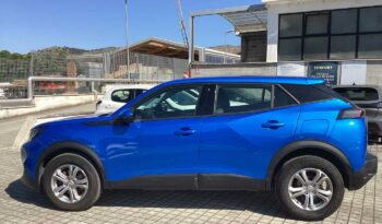 
										Peugeot 2008 2ª serie PureTech 100 S&S Active Pack full									